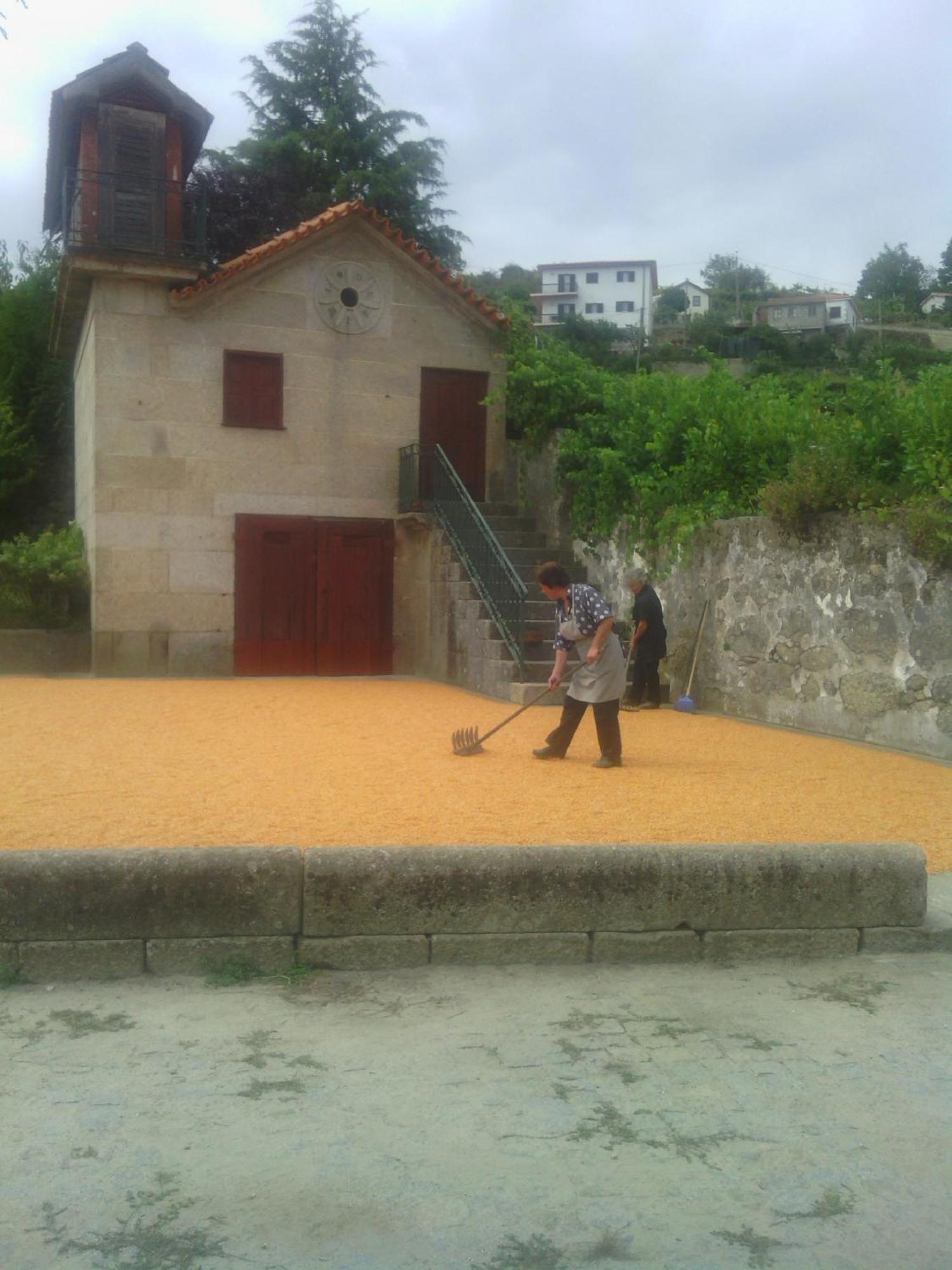 Quinta Da Casa Grande Pinheiro Pensionat Baião Eksteriør billede
