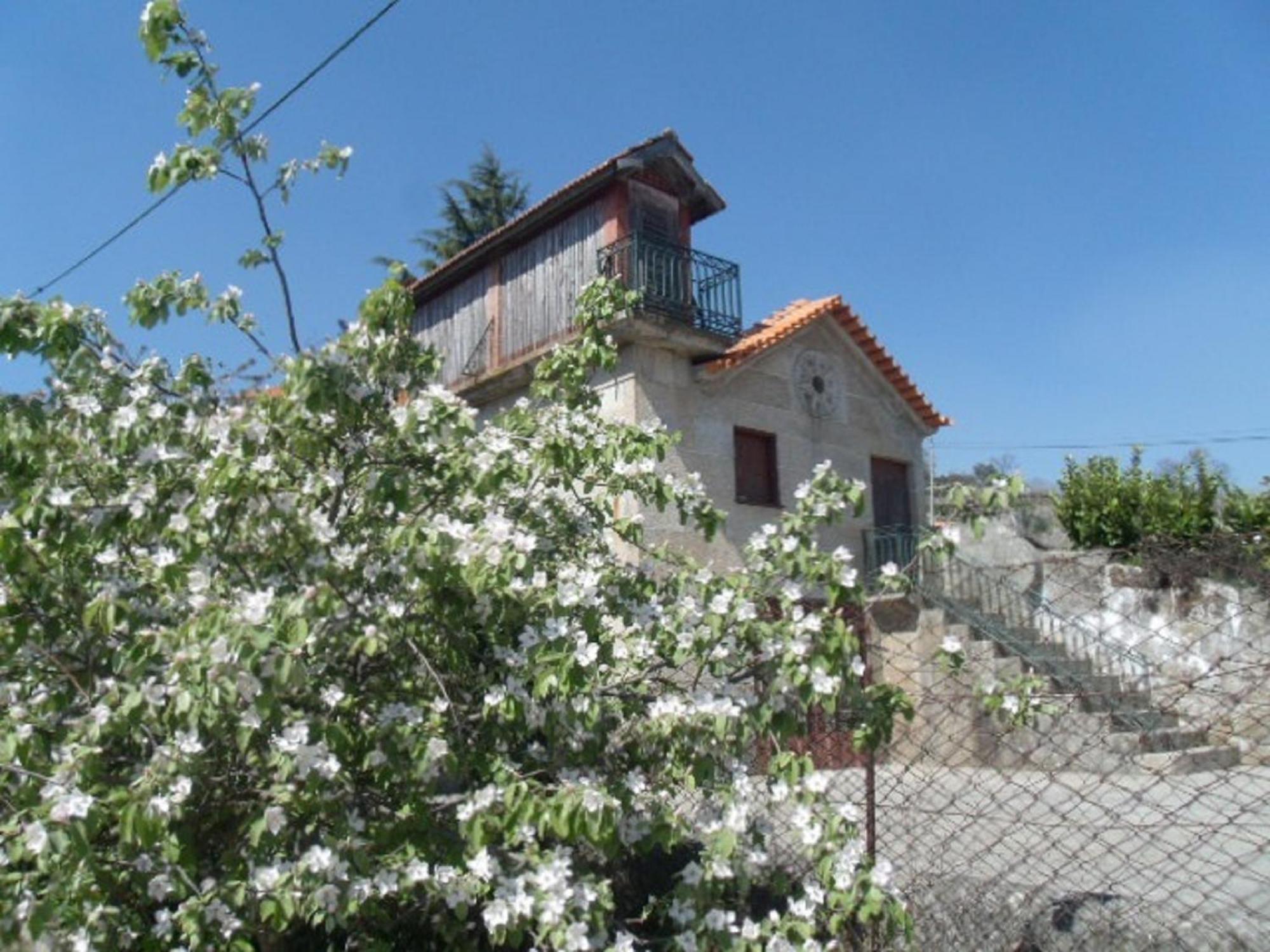Quinta Da Casa Grande Pinheiro Pensionat Baião Eksteriør billede
